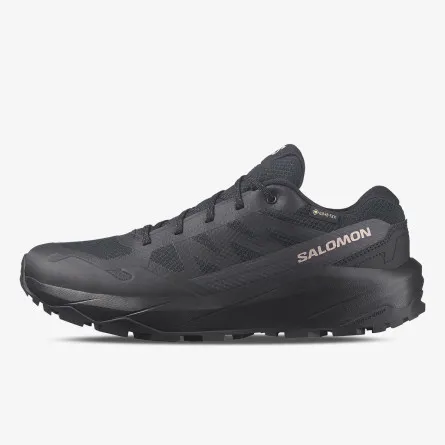 SALOMON Tenisice OUTSCAPE GTX W Black 